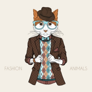 拟人化时尚插图猫穿着时髦的风格背景图片