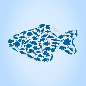 鱼4小鱼中收集的鱼矢量插图图片