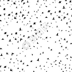 鸟的大飞行矢量插图图片
