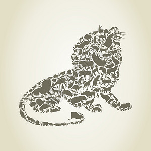 动物身上收集的狮子矢量插图图片