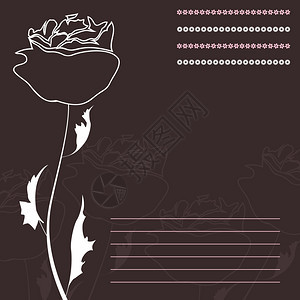 玫瑰棕色背景上的白色玫瑰矢量插图图片