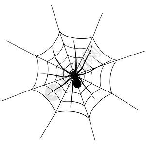 蜘蛛网上称重矢量插图图片
