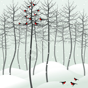 冬天鸟坐树上矢量插图图片