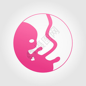 子宫中粉红色的人类胚胎图片