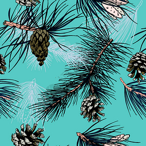 彩色松树枝冬季林锥无缝壁纸矢量插图图片