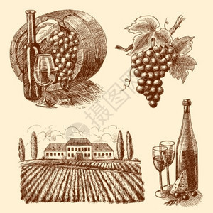葡萄酒份素描装饰图标桶葡萄枝酒庄孤立矢量插图图片