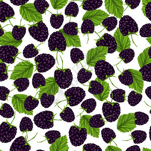 天然新鲜机花园黑莓无缝图案矢量插图图片