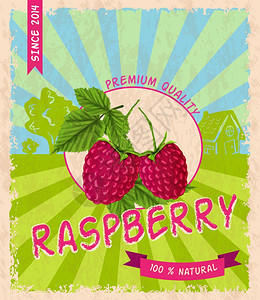 甜蜜美味的花园树莓优质复古海报矢量插图图片