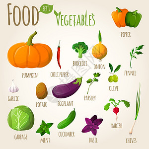 食物蔬菜涂鸦套胡椒,南瓜,西兰花,洋葱,茴香,大蒜矢量插图图片