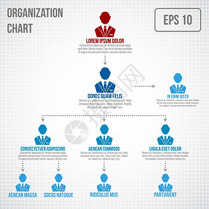 结构图信息图表业务层次结构老板员工结构矢量图图片