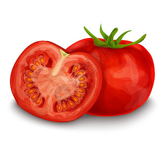 蔬菜机食品成熟番茄切割与种子分离的白色背景矢量插图图片