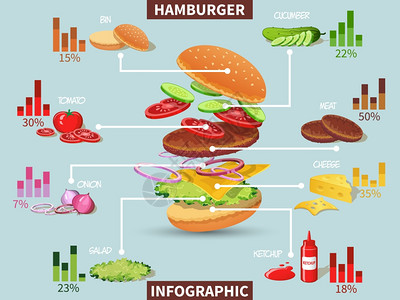 汉堡配料与肉奶酪,番茄沙拉,包,黄瓜信息矢量图图片