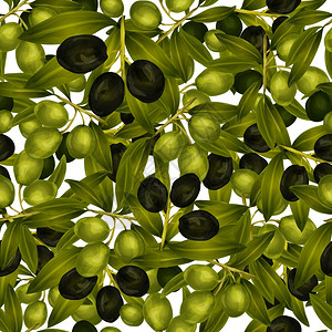 蔬菜机食品绿色黑色橄榄浆果无缝图案矢量插图图片
