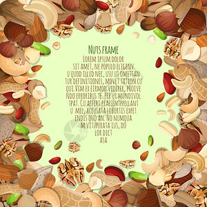坚果种子混合食品装饰卡框架矢量插图图片