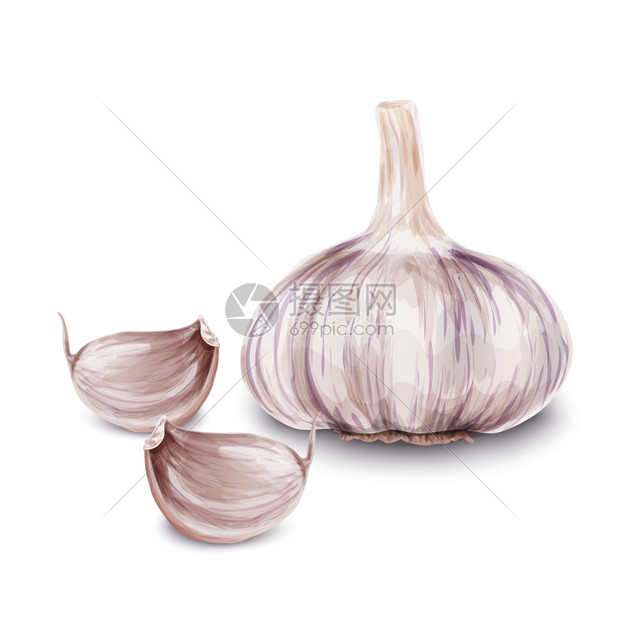 蔬菜机食品,白色背景矢量插图上分离的新鲜大蒜图片