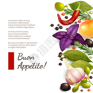 香草香料,辣椒迷迭香橄榄白色背景,享受您的膳食标题矢量插图图片
