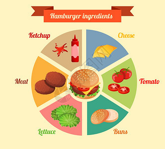 汉堡包配料,肉,奶酪,番茄,生菜,包,黄瓜饼,图表,信息图表,矢量图图片