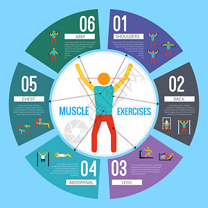 锻炼运动健身训练肌肉练信息矢量图图片