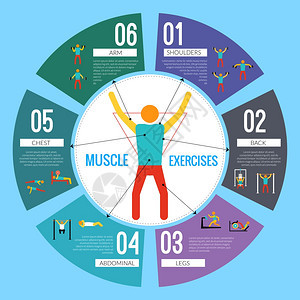 锻炼运动健身训练肌肉练信息矢量图图片