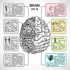 大脑半球用智力创造力符号矢量插图绘制信息图集图片