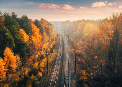 黄昏的日出森林美丽的铁路图片