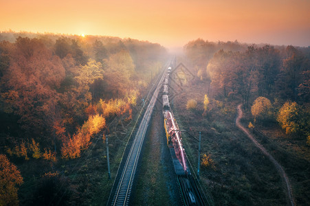秋天日落时美丽的森林客运列车图片