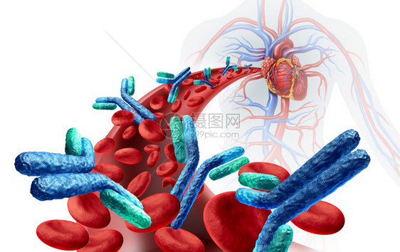 人体血液中的抗与免疫系统有关防治疾病作为抗体或免疫球蛋白的医疗象征在动脉解剖概念中作为3d插图图片