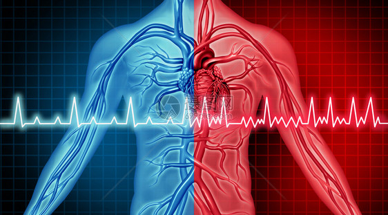 ajuryfilaton障碍心脏问题例如冠心病发作非正常和的器官内脏是胸部不适疾病的概念即3d插图式的循环疾病患者概念图片