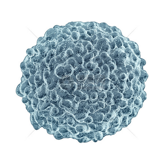 白血细胞概念孤立在白种背景上作为人类免疫系统的微生物象征捍卫和保护身体免受传染病的感图片