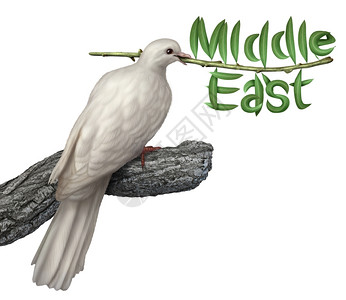 白鸽持橄榄枝叶子以字形式呈现包括百塞湾伊兰吉普特利布亚库维伊萨雷沙乌地阿拉伯syriaudrb寻求谈判解决图片
