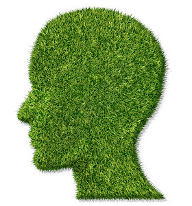 脑部和健康记忆功能是对抗痴呆症和阿尔兹海默斯夸疾病作为一片绿色草皮的医疗标志以人头和大脑的形状图片