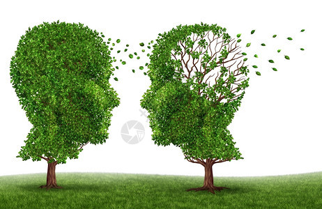 患有痴呆症和阿尔茨海默氏病两棵树的形状是人头和大脑象征着失去记忆和认知智能功对亲人和照顾者的压力影响图片
