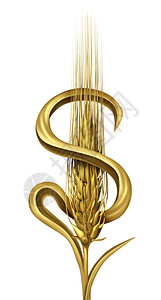 经济作物概念代表农牧业和企的金钱和利润以及作为白色美元货币标志形式的单一小麦厂粮食市场资金图片
