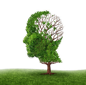 脑功能丧失处理痴呆症和阿尔兹海默斯夸疾病作为树的医学标志其形状是人头和脑的形状树叶流失是因受伤或年老而在智力和记忆减少方面的挑战图片