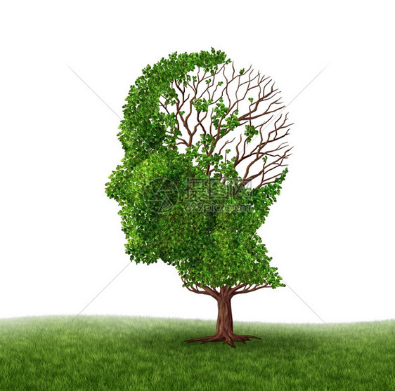 脑功能丧失处理痴呆症和阿尔兹海默斯夸疾病作为树的医学标志其形状是人头和脑的形状树叶流失是因受伤或年老而在智力和记忆减少方面的挑战图片