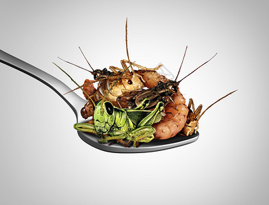 吃虫昆作为异国菜吃昆虫其他高蛋白质营养食物作为板球和幼虫用勺子作为诱导3d插图元素的象征图片