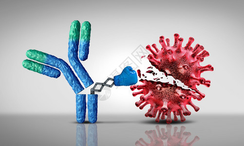 抗体攻击传染细胞和原体的毒免疫球蛋白概念背景图片