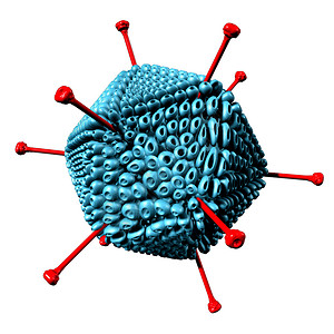 作为一种呼吸道疾病作为一种引起高发病的毒感染疾作为3d型微生物分子模概念作为一种3d型使白种人孤立无援图片