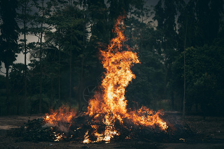 火烧户外森林背景图片