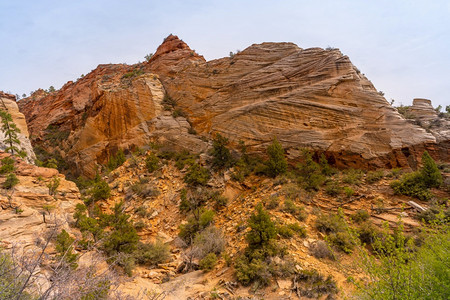 zionutahniedsa的zion公园的山地景观图片