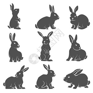 兔子图标集矢量图片