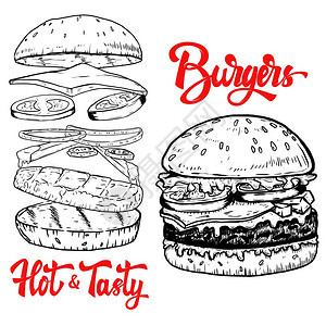手画汉堡插图海报菜单传的设计元素矢量插图图片