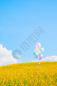 蓝色天空背景的黄花朵上方彩色气球具有古老效应图片