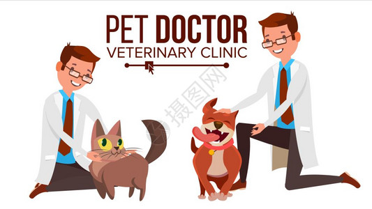 宠物医生和猫狗 图片