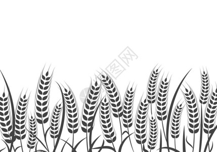 农业小麦背景矢量插图设计图片