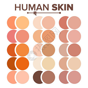 人类的皮肤不同颜色矢量元素背景图片