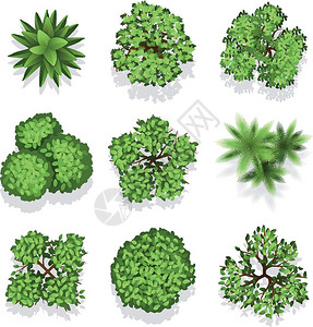 顶部看到的绿植元素图片