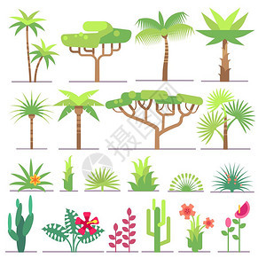 不同种类的热带植物树木花卉矢量元素图片