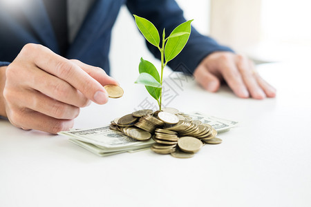 举办商人用钱币和植物储蓄金融概念的成功和植物储蓄金融概念的发芽来弥补棕榈设计图片