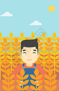 一位在小麦田工作的青年农民 图片